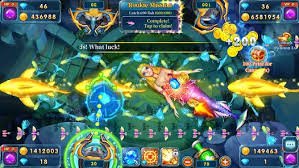 win678